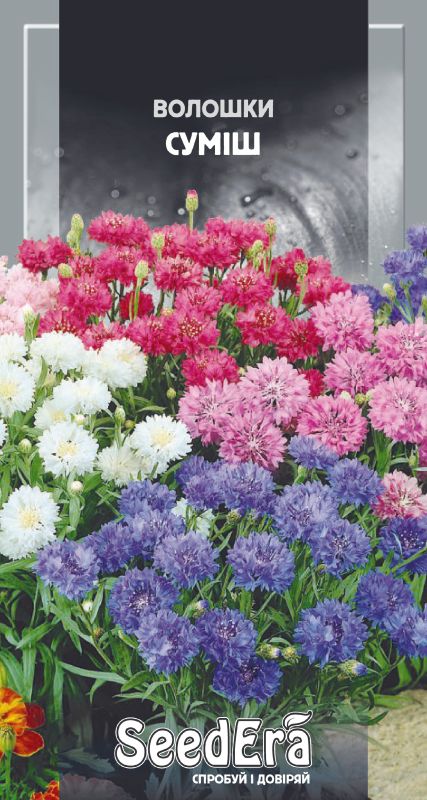 Насіння Волошки Польові Суміш 0,2 гр