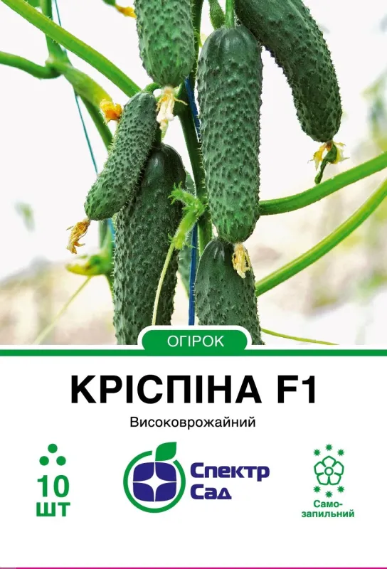 НАСІННЯ ОГІРКІВ КРІСПІНА F1, УПАКОВКА 50 ШТ