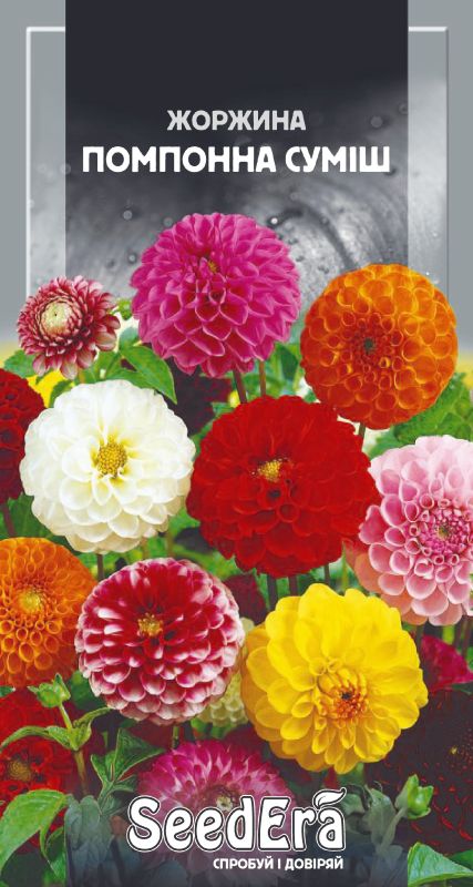 Насіння Жоржини Мінлива Помпонна Суміш 0,5 г